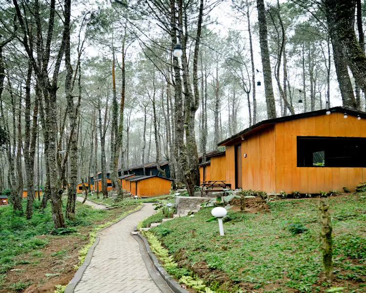 1293a264-2ff1-4777-92a7-4b4f545a3d48