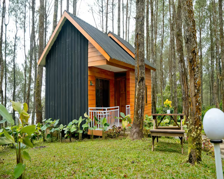 91136fdb-061e-450a-866f-5db0ec5b3423