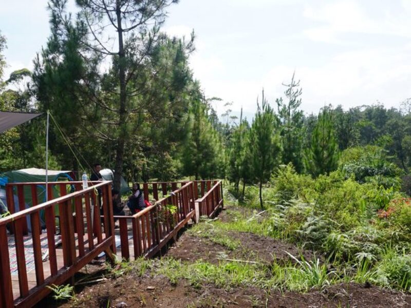 halimunarea-panoramahillscikole-3-800x600